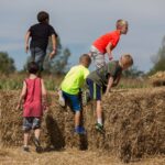 مدارس تاریخ در مزارع بازی و سرگرمی