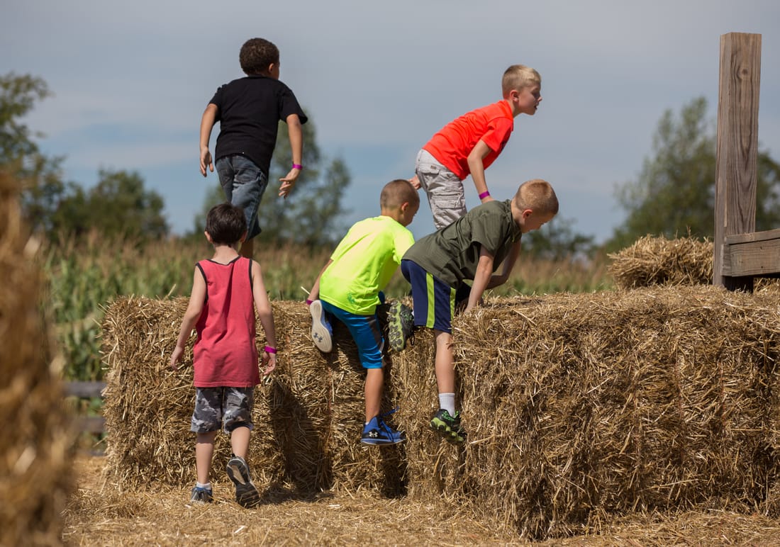 مدارس تاریخ در مزارع بازی و سرگرمی